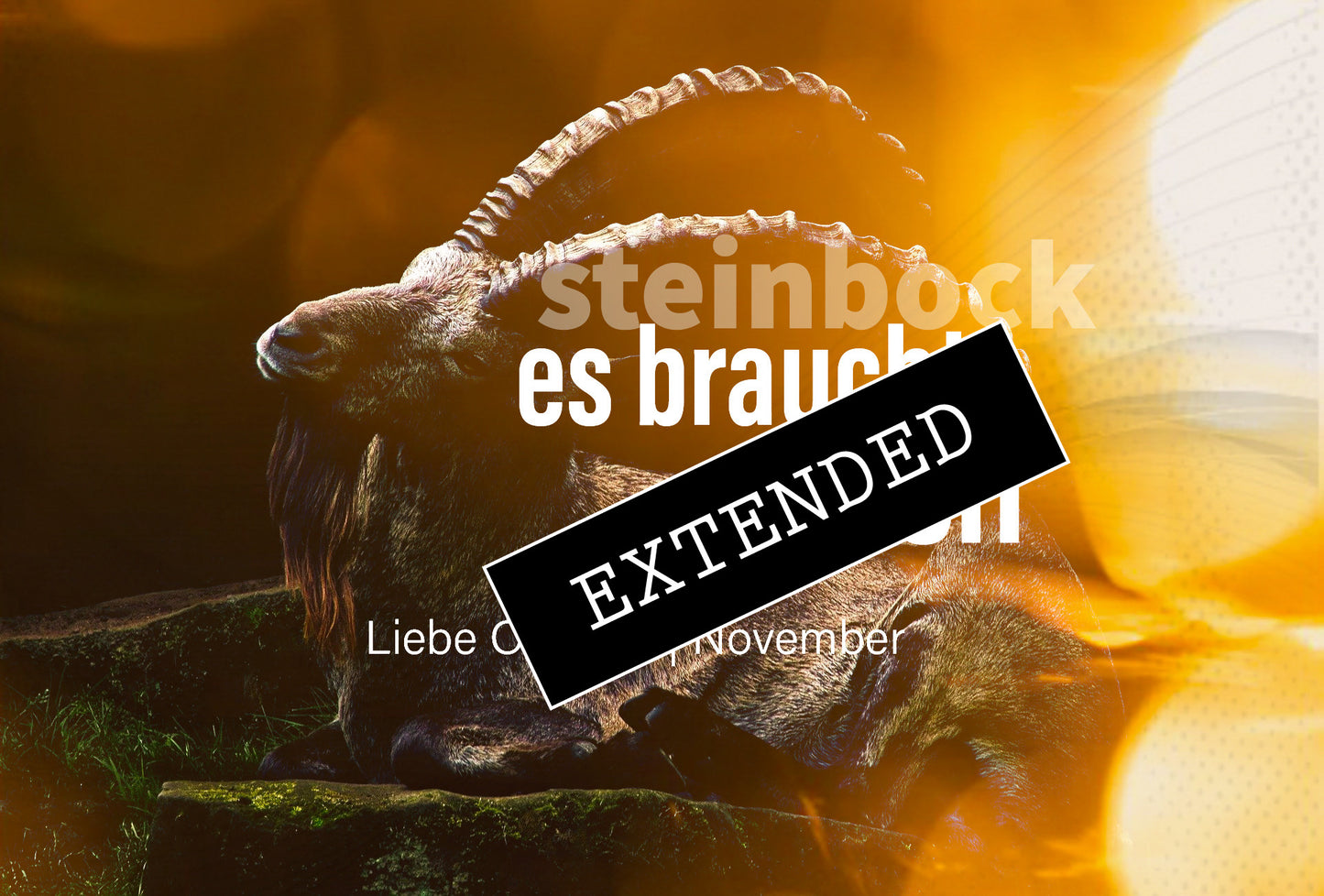 Steinbock Liebe Oktober | November extended: Neuaufstellungđź’“đź’–