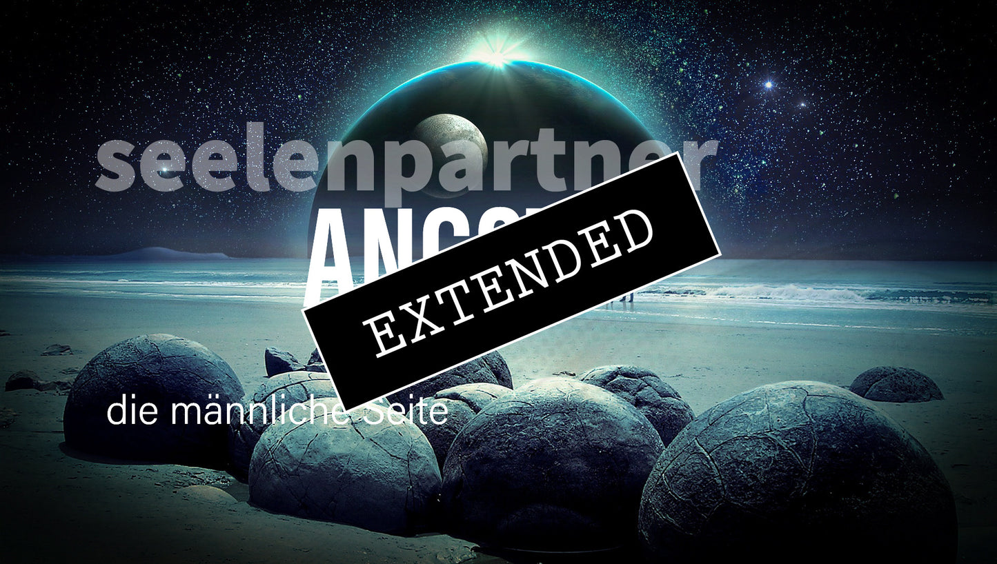 Seelenpartner | männliche Seite extended: Der wichtige Schritt❤️