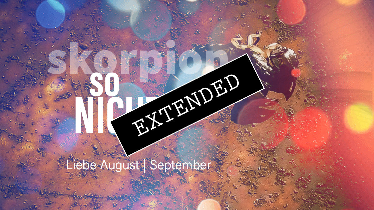 Skorpion Liebe August | September extended: Die Freiheit, die es braucht💗💖