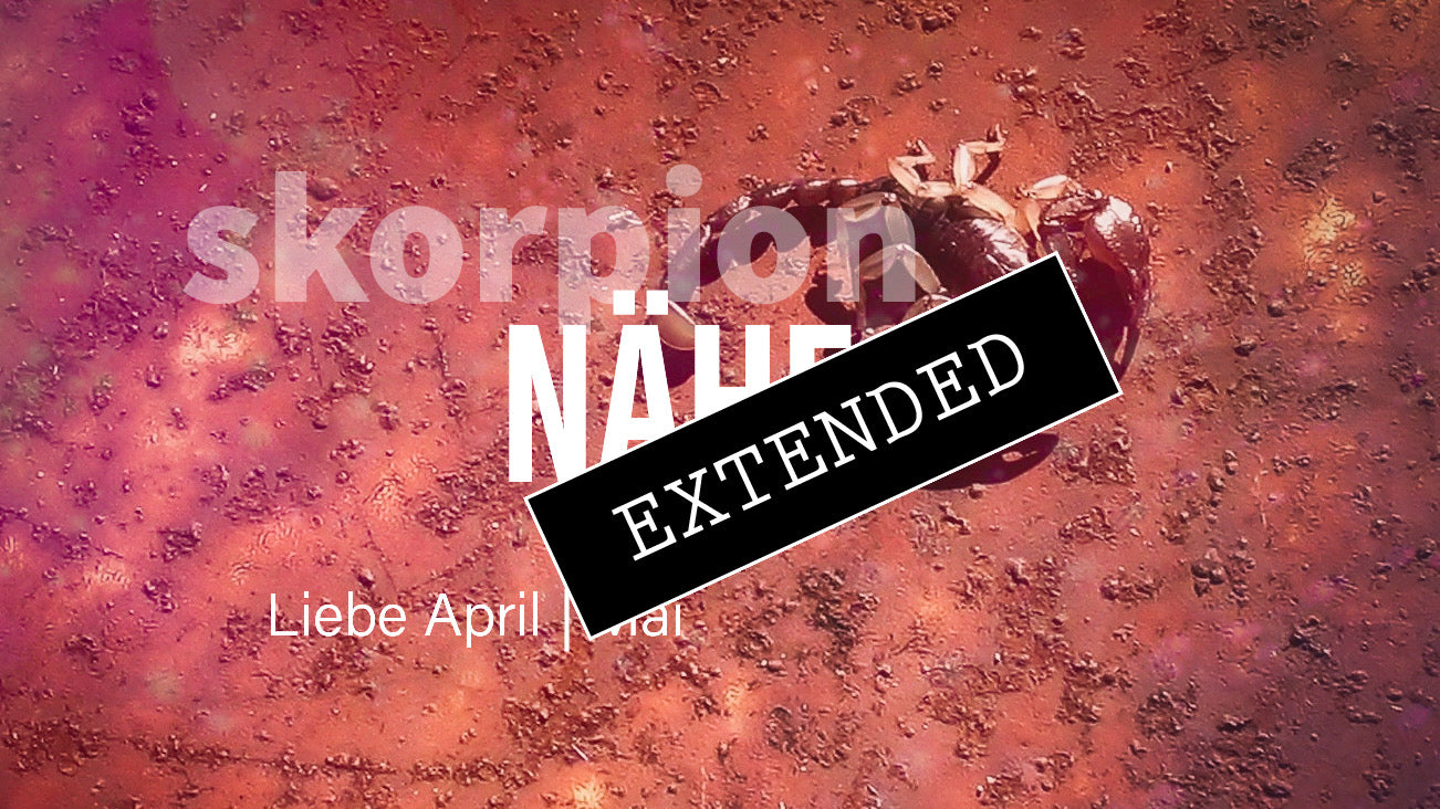 Skorpion Liebe April | Mai extended: Mein Weg mit dirđź’žđź’–