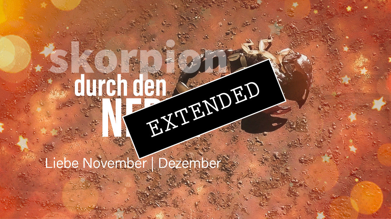 Skorpion Liebe November | Dezember extended: Bei dirđź’ž
