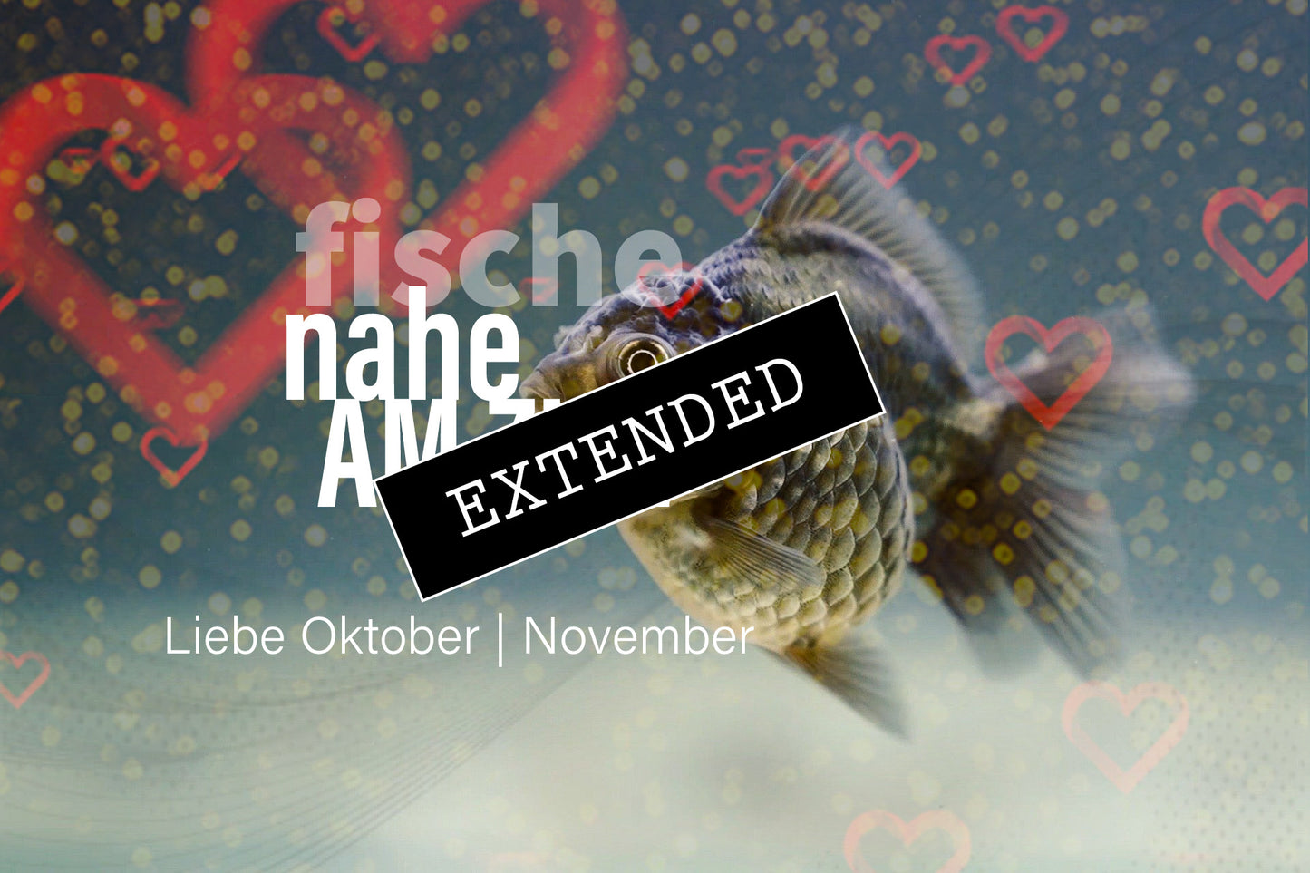 Fische Liebe Oktober | November extended: Der harte Weg ins Vertrauenđź’—đź’ž