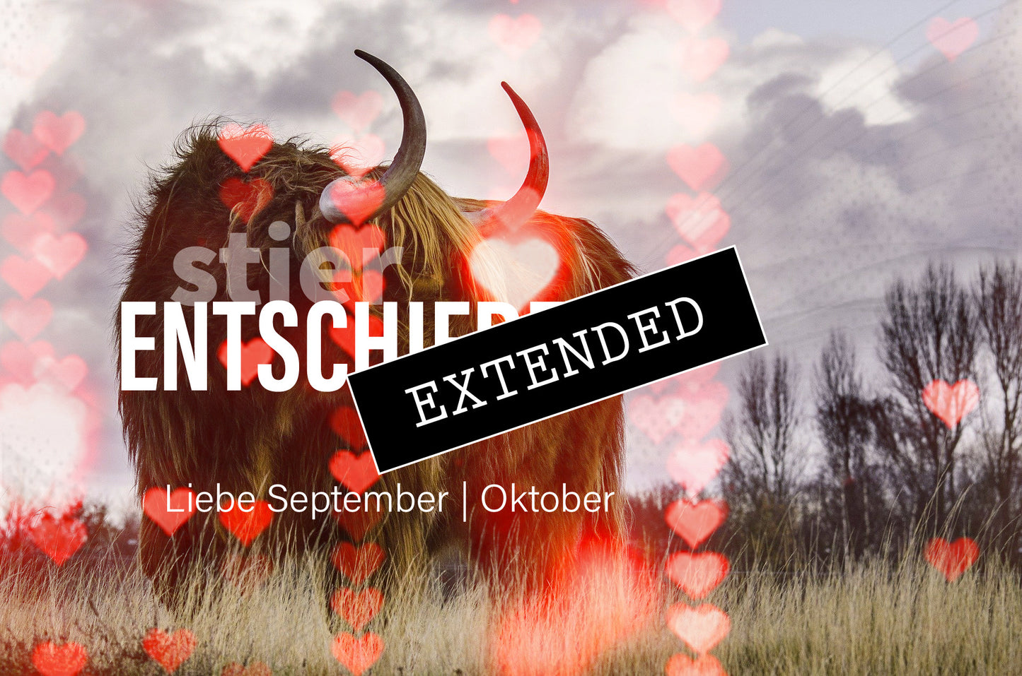 Stier Liebe September | Oktober extended: Bereit machenđź’—đź’–