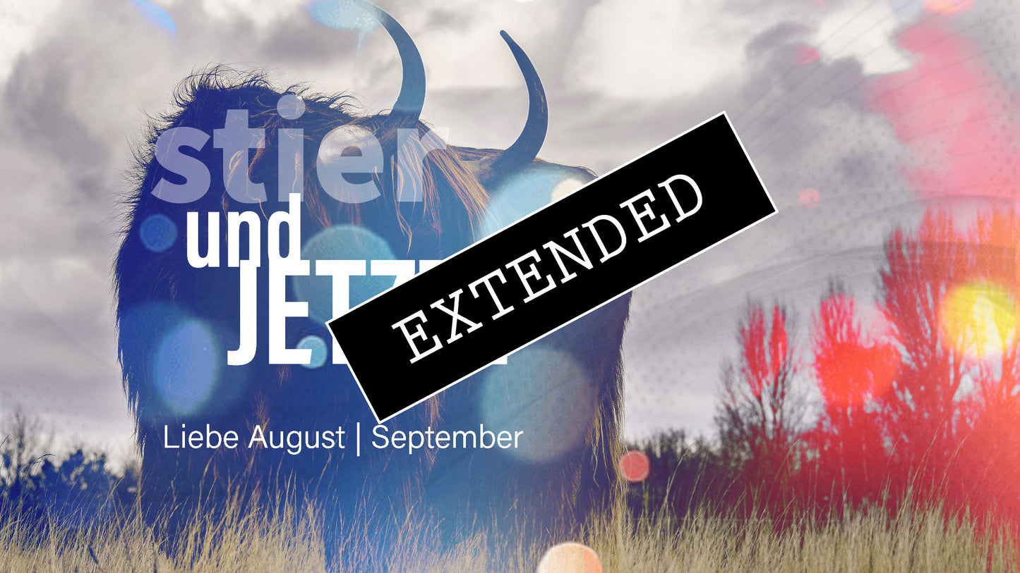 Stier Liebe August | September extended: Tiefe Lösung💗💖