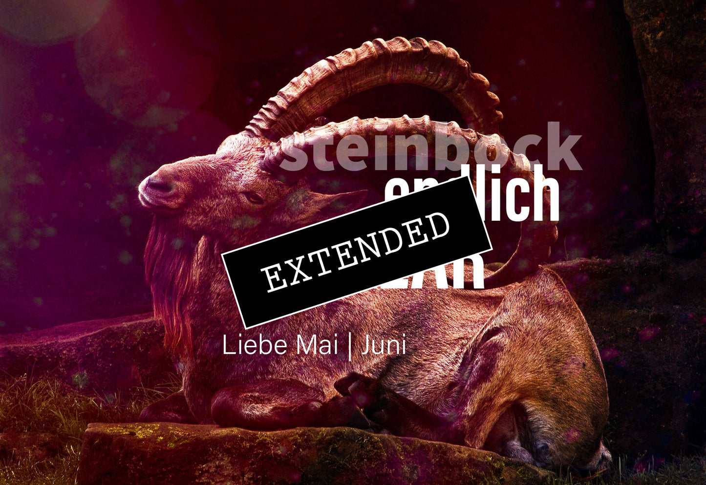 Steinbock Liebe Mai | Juni extended: Sortiertđź’–