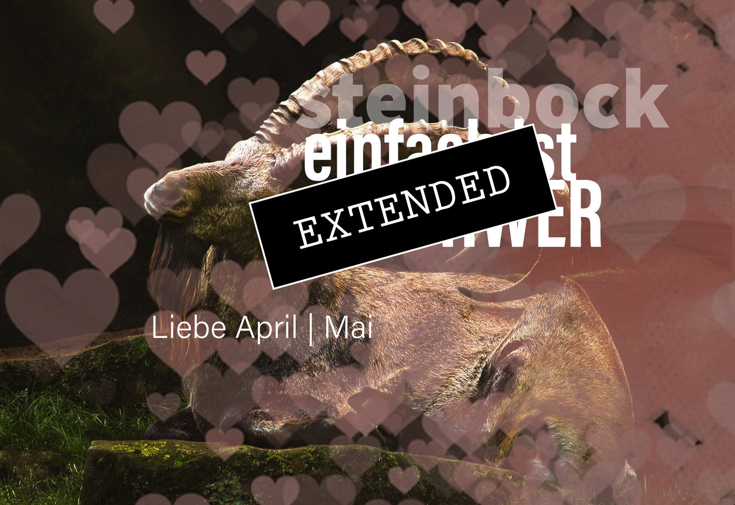 Steinbock Liebe April | Mai extended: Aufgewachtđź’–đź’“