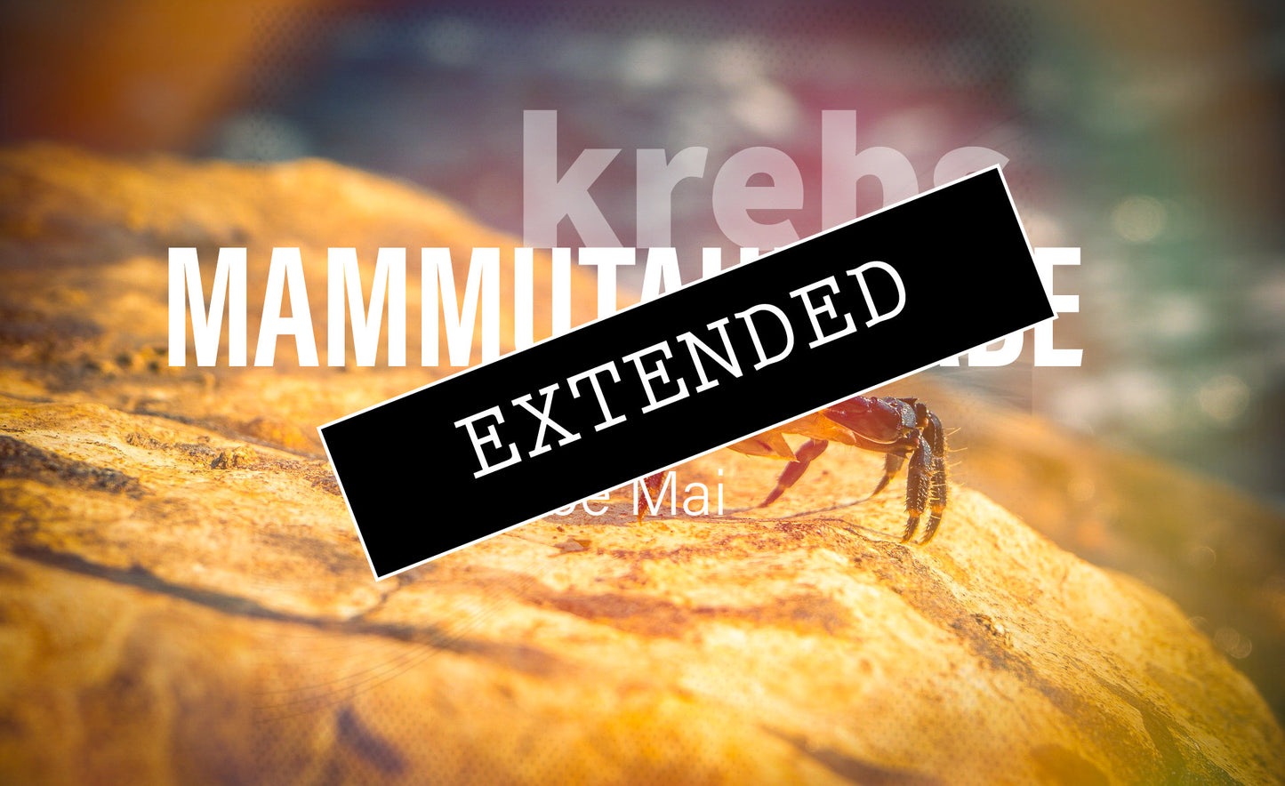 Krebs Liebe Mai extended: Tiefe Verschmelzungđź’žđź’ś