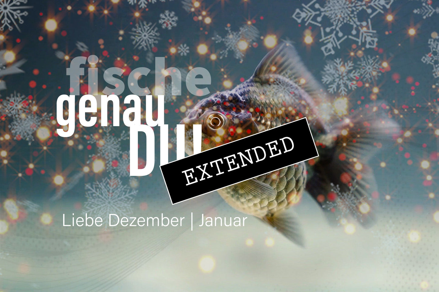Fische Liebe Dezember | Januar extended: Fallendes Kartenhausđź’—đź’–