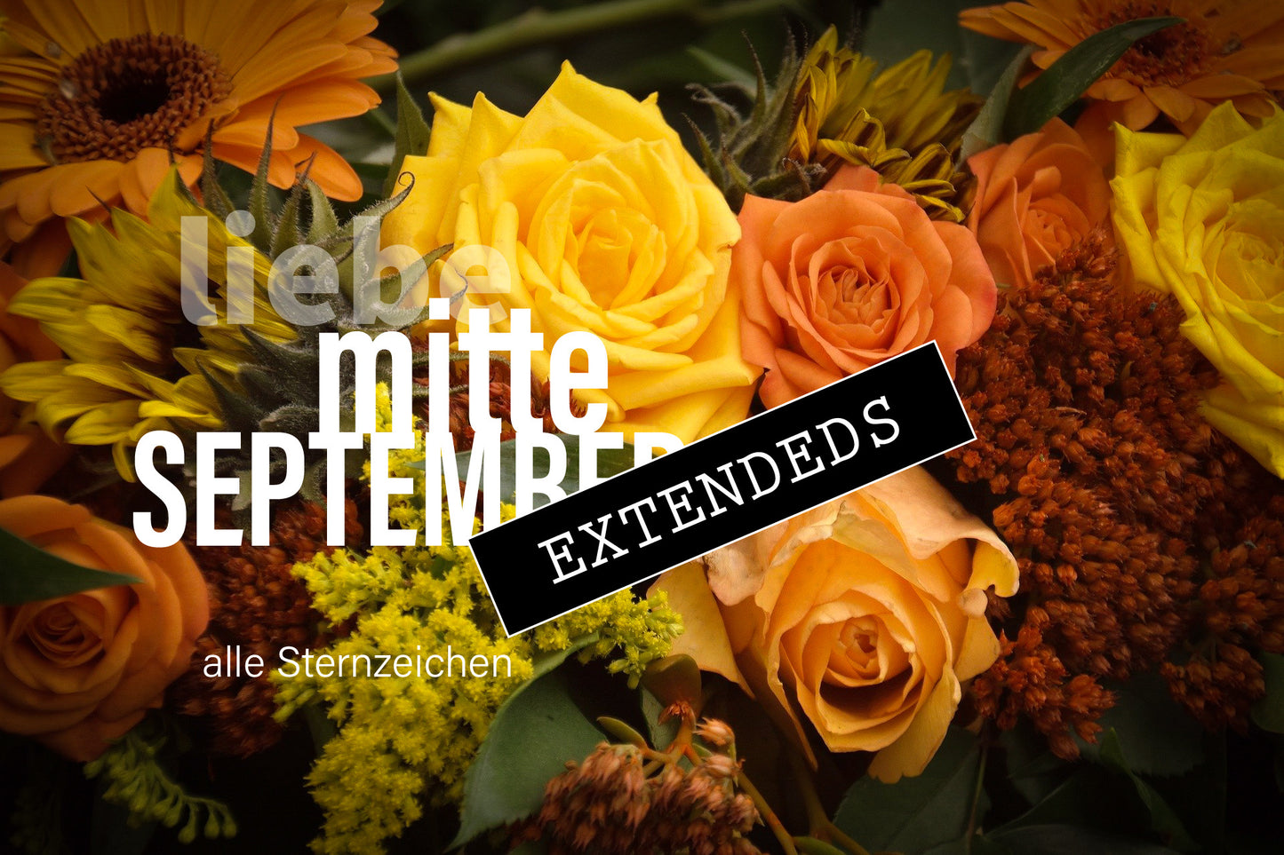 Liebe Mitte September Extendedsđđ