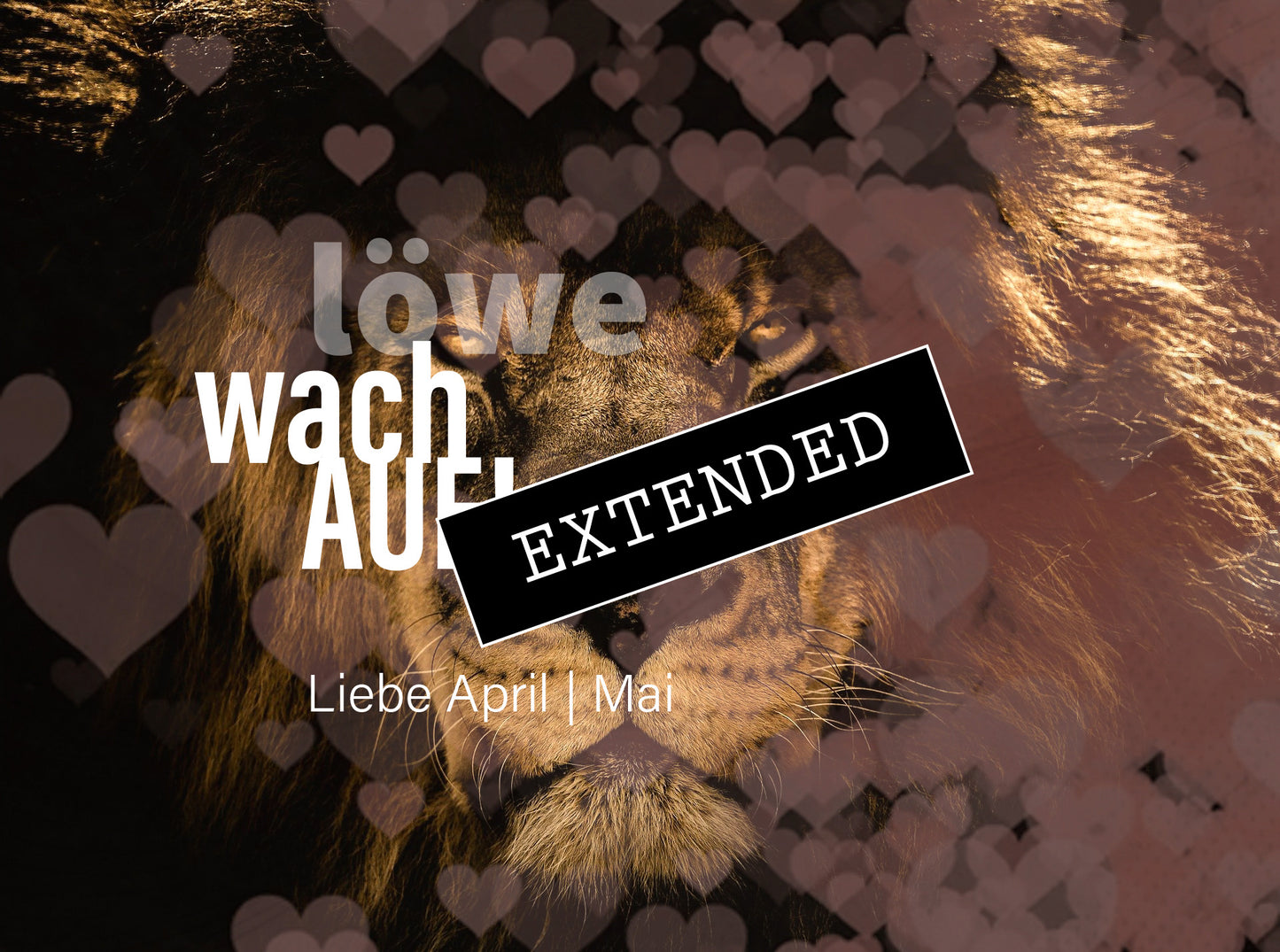 Löwe Liebe April | Mai extended: Sehnsucht❤️🔥