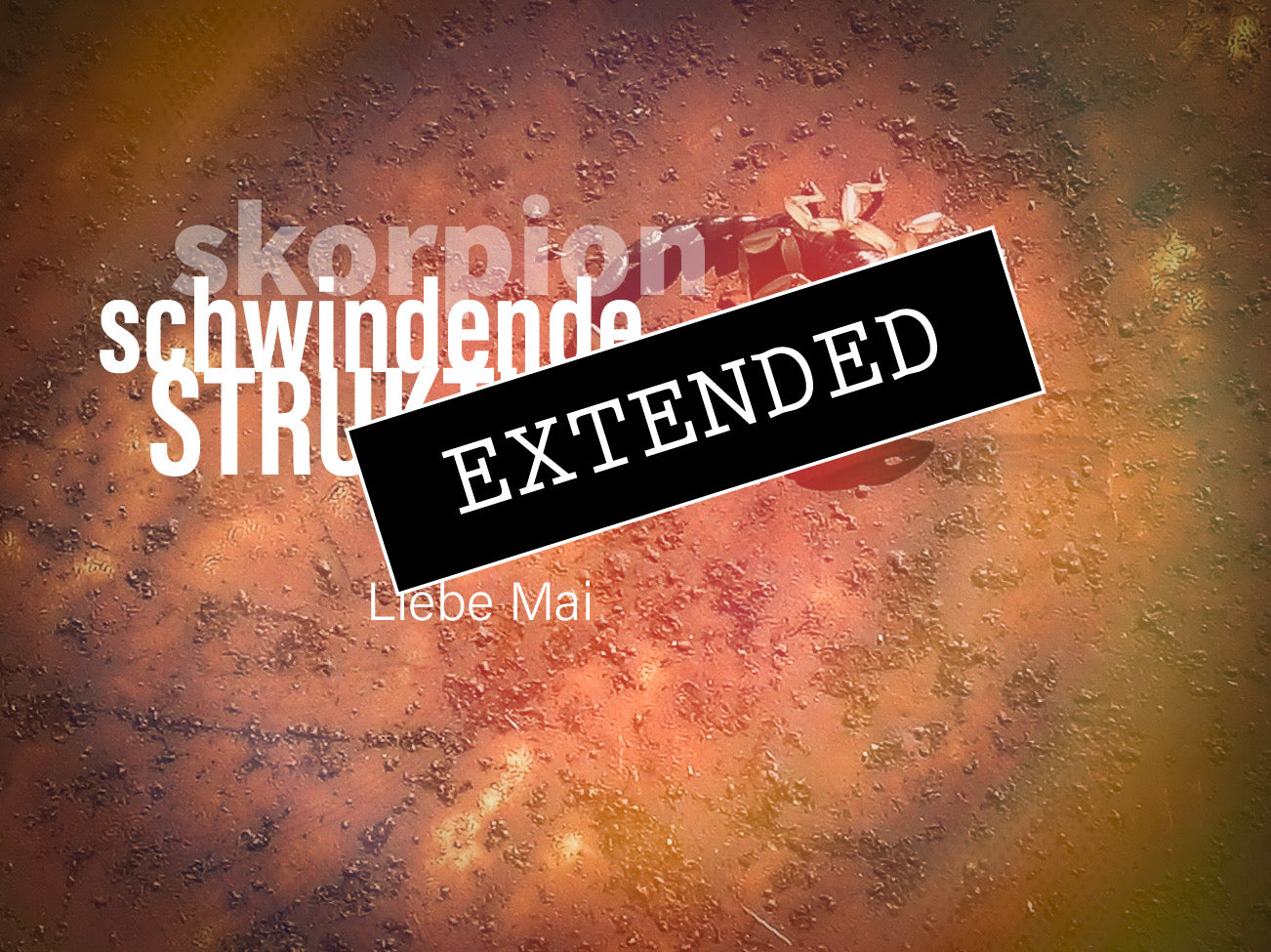 Skorpion Liebe Mai extended: Kraft durch dichđź’žđź’ť
