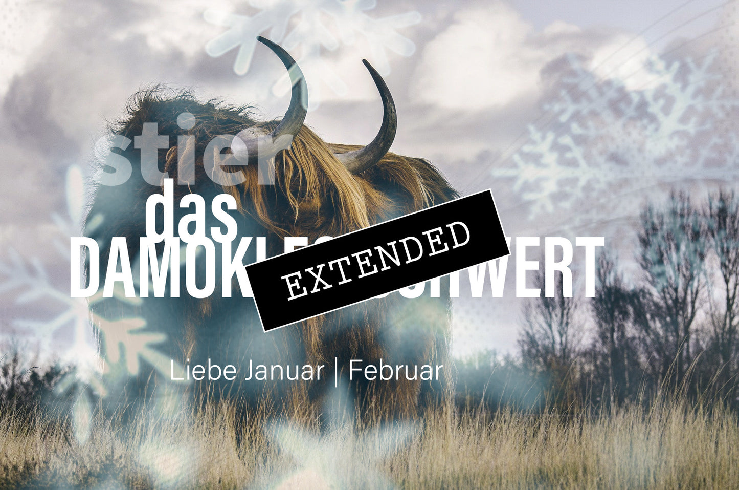 Stier Liebe Januar | Februar extended: Wieder vollständig💖❤️🔥