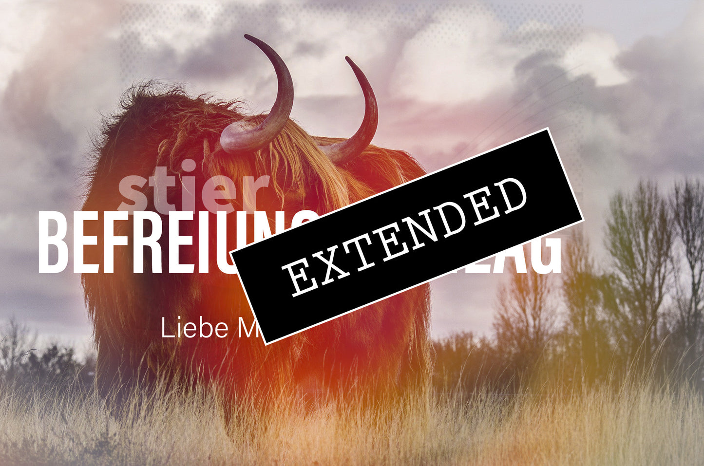 Stier Liebe Mai extended: Aufbruchđź’žđź’«