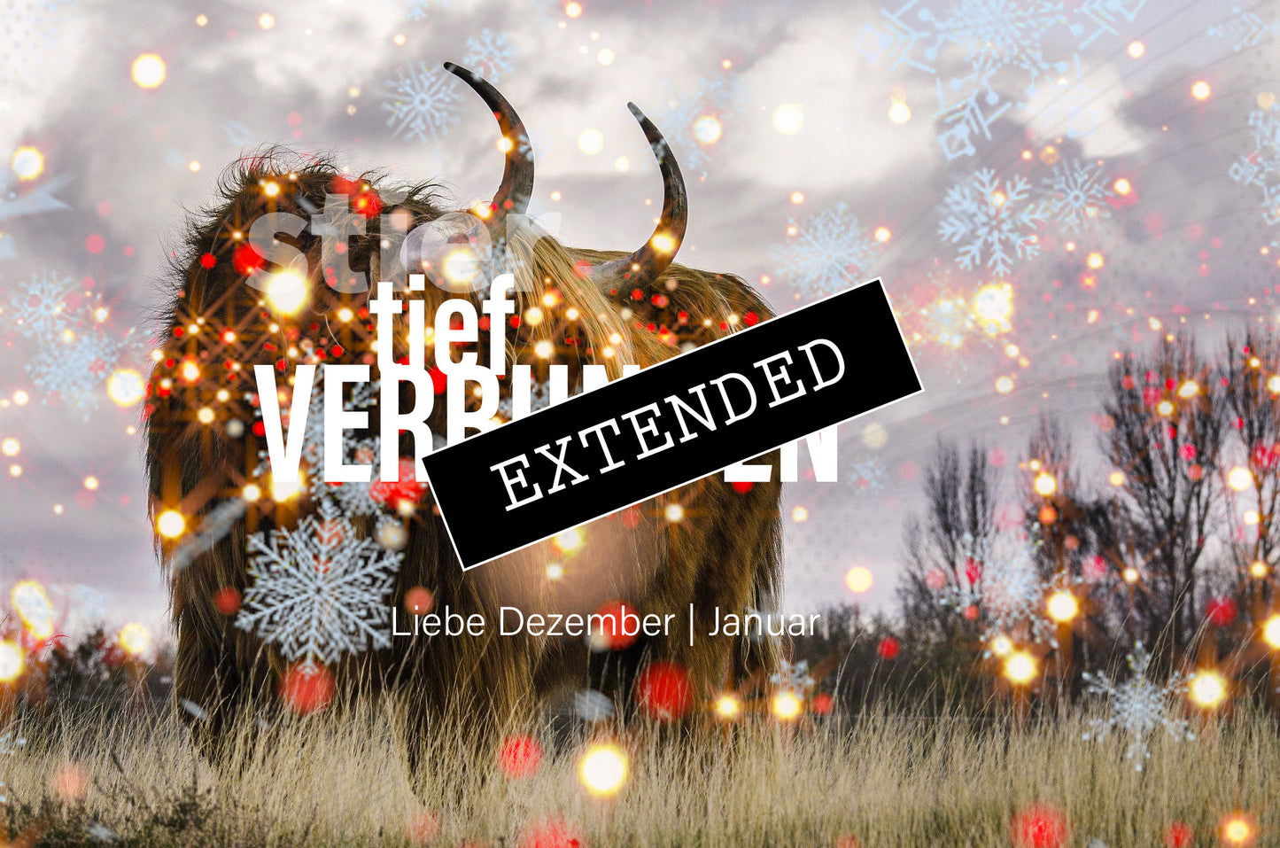 Stier Liebe Dezember | Januar extended: Ganz und neu❤️