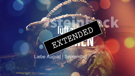 Steinbock Liebe August | September extended: Schwere Themen💔