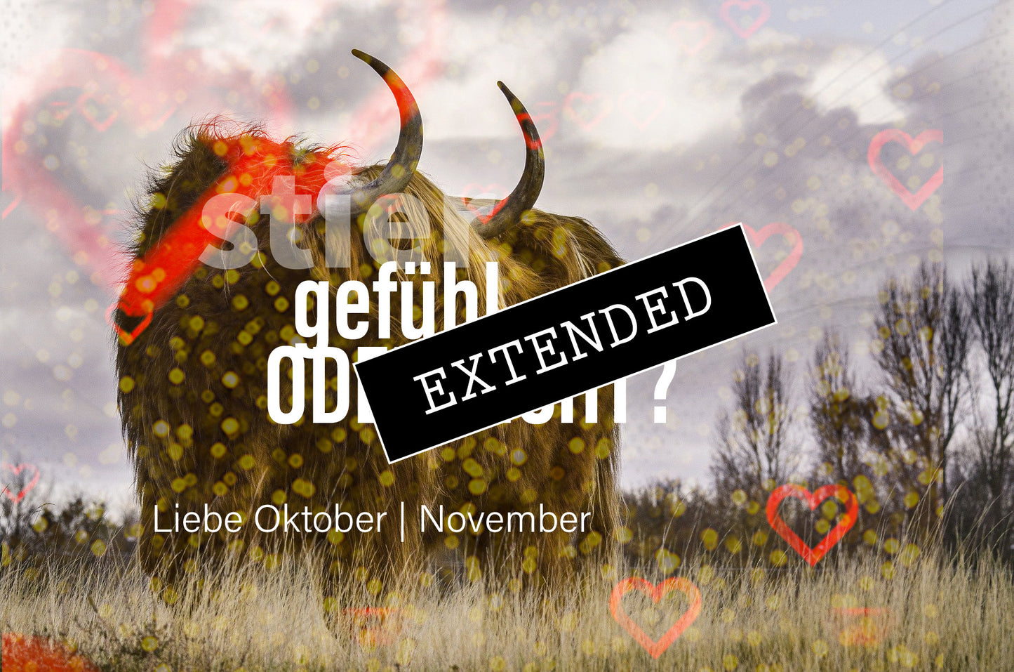 Stier Liebe Oktober | November extended: Alles Projektion?❣️❤️