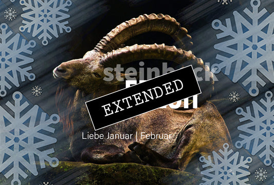 Steinbock Liebe Januar | Februar extended: Du, mein Glück❤️