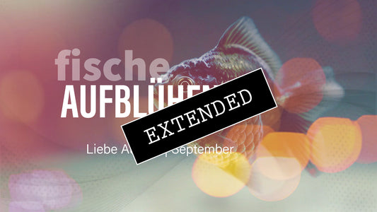 Fische Liebe August | September extended: Straight forward❣️💖