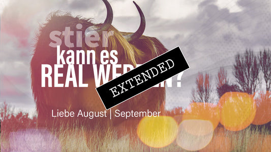 Stier Liebe August | September extended: An der Basis❤️💞