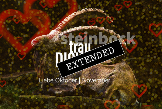 Steinbock Liebe Oktober | November extended: Pessimist❣️💖