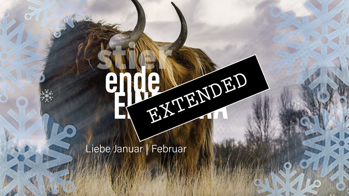 Stier Liebe Januar | Februar extended: Ich❤️