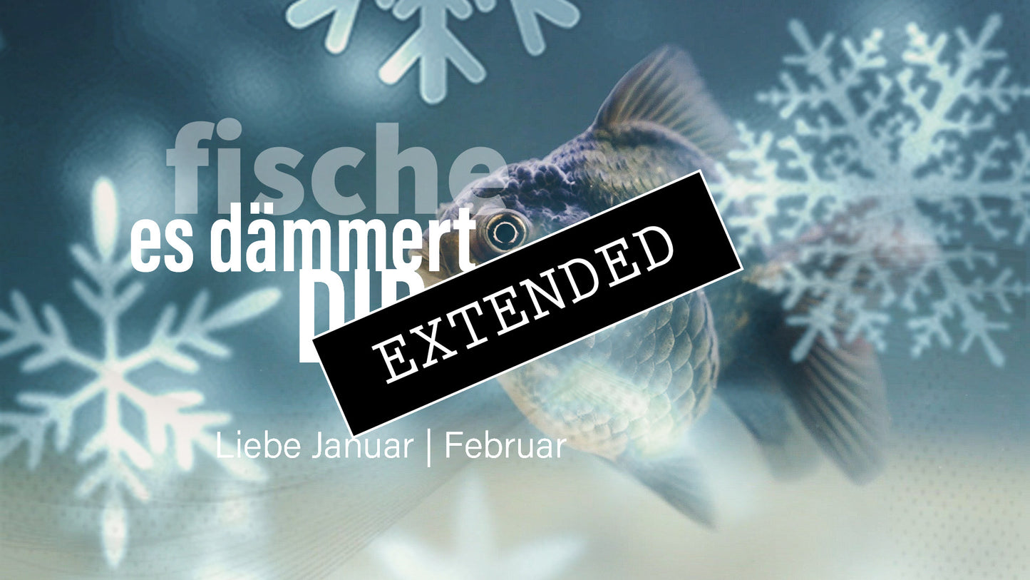 Fische Liebe Januar | Februar extended: Nie befriedigt💔
