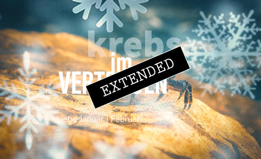 Krebs Liebe Januar | Februar extended: Rund werden❤️