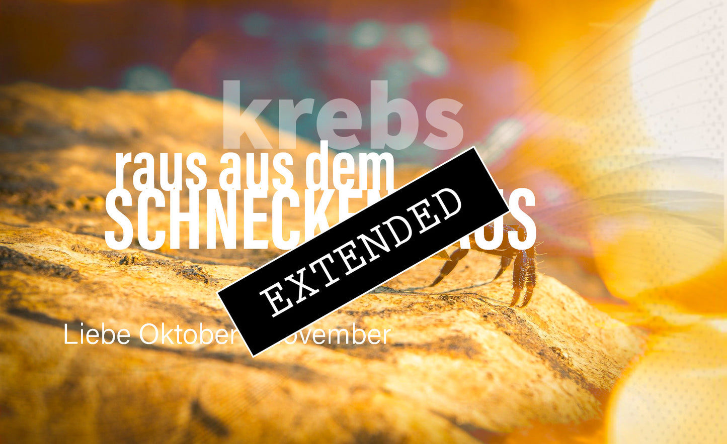 Krebs Liebe Oktober | November extended: Ein Licht ist aufgegangen❣️💖