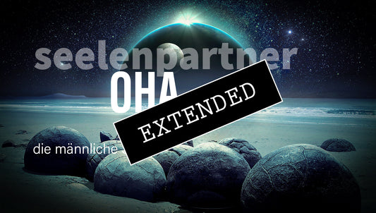 Seelenpartner | männliche Seite extended: Einfach normal💓❤️