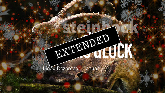 Steinbock Liebe Dezember | Januar extended: Ich❤️