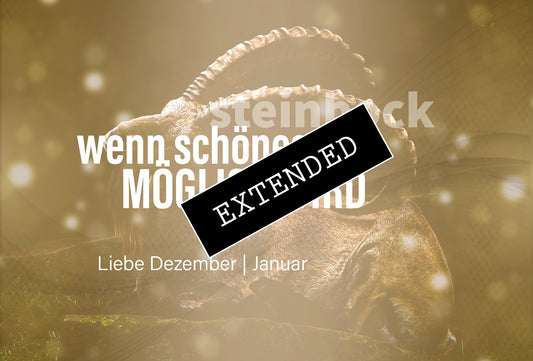 Steinbock Liebe Dezember | Januar extended: So geht’s nicht mehr❣️