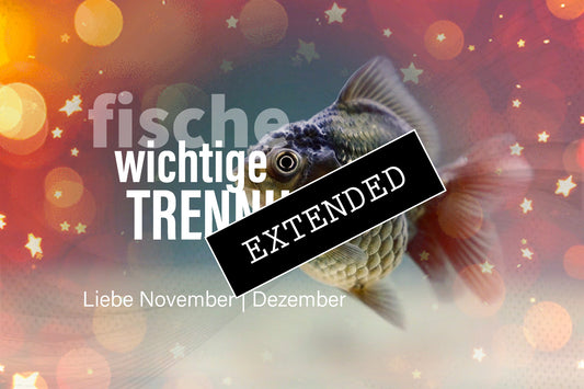 Fische Liebe November | Dezember extended: Bindungslos❣️