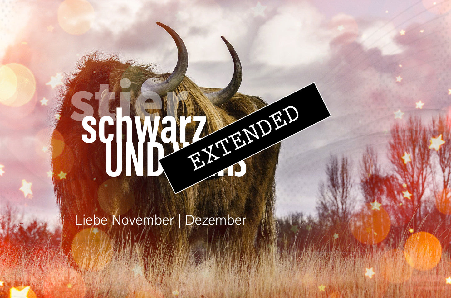 Stier Liebe November | Dezember extended: Frei💓💖