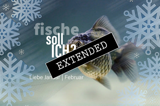 Fische Liebe Januar | Februar extended: Du sollst❤️