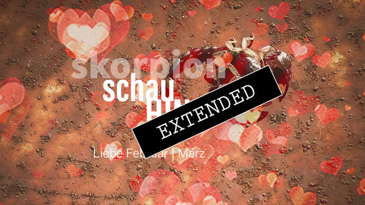 Skorpion Liebe Februar | März extended: Ausrichtung bringt Klarheit💖