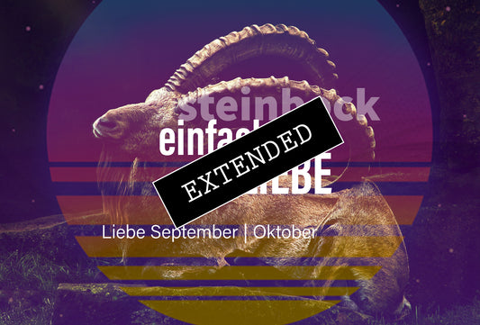 Steinbock Liebe September | Oktober extended: Durchflutende Liebe❤️