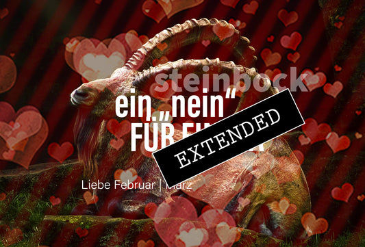 Steinbock Liebe Februar | März extended: Die Einfachheit des Lebens💓💖