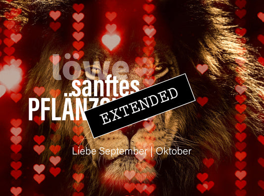 Löwe Liebe September | Oktober extended: Kein Hü oder Hott mehr❣️💖