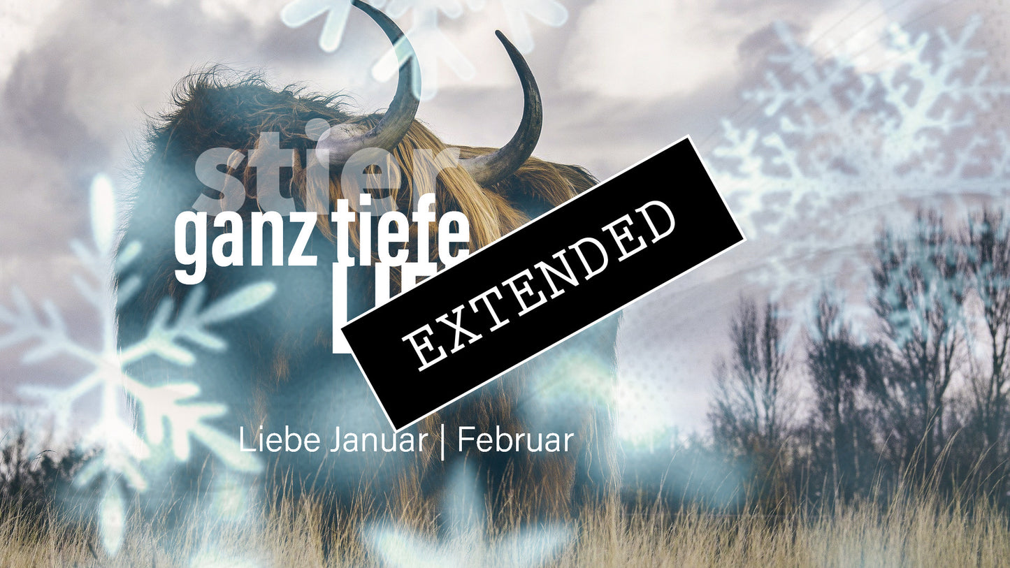 Stier Liebe Januar | Februar extended: Verletzt❤️‍🩹