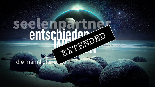 Seelenpartner | männliche Seite extended: Entscheidungen❣️