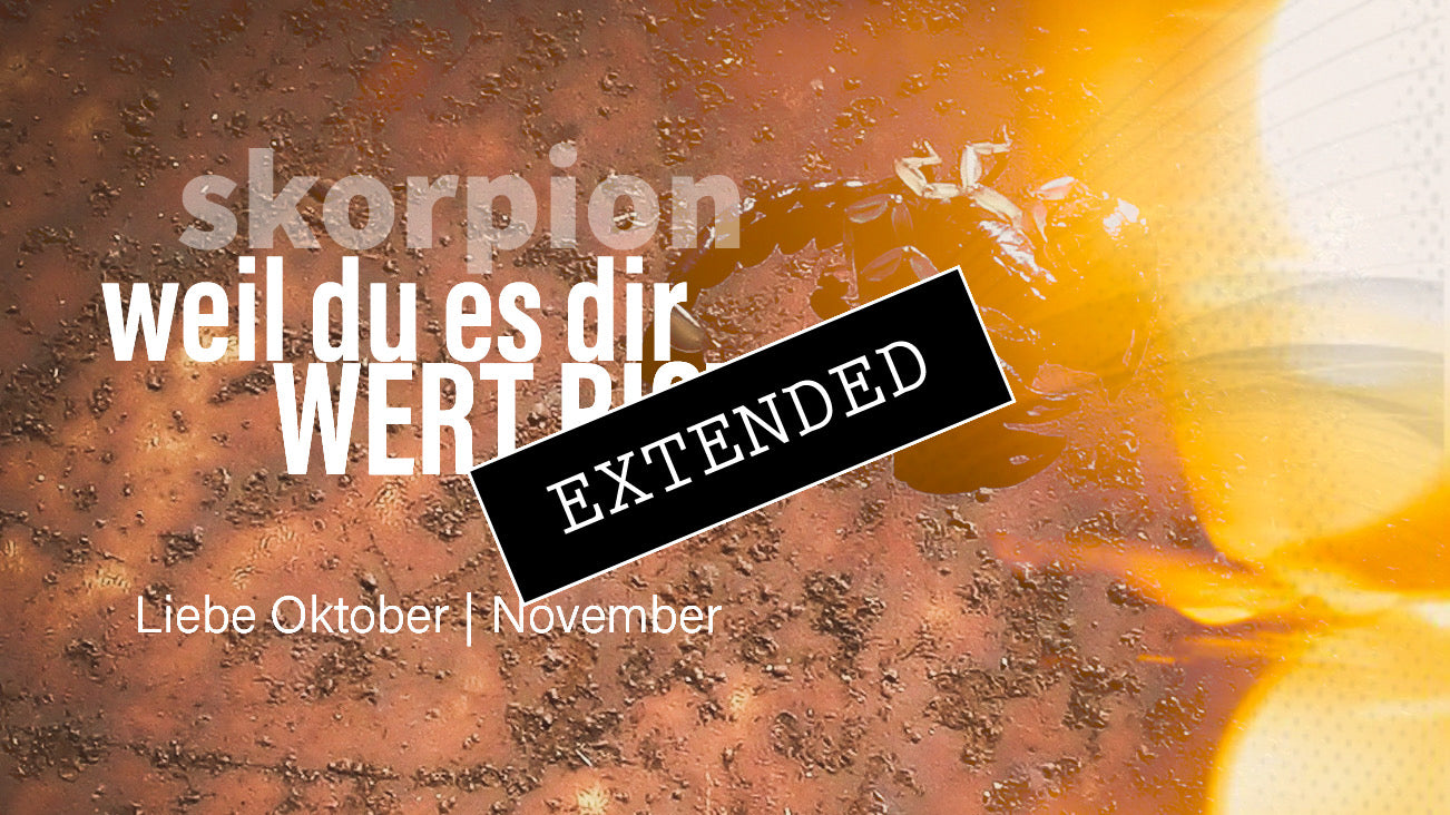 Skorpion Liebe Oktober | November extended: Erkenntnisse, Erkenntnisse…💖