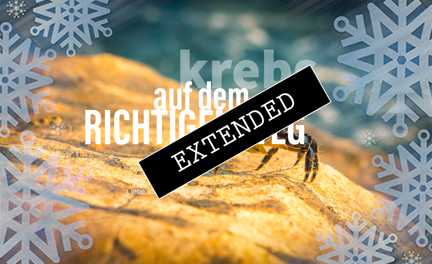 Krebs Liebe Januar | Februar extended: Ernüchtert💖