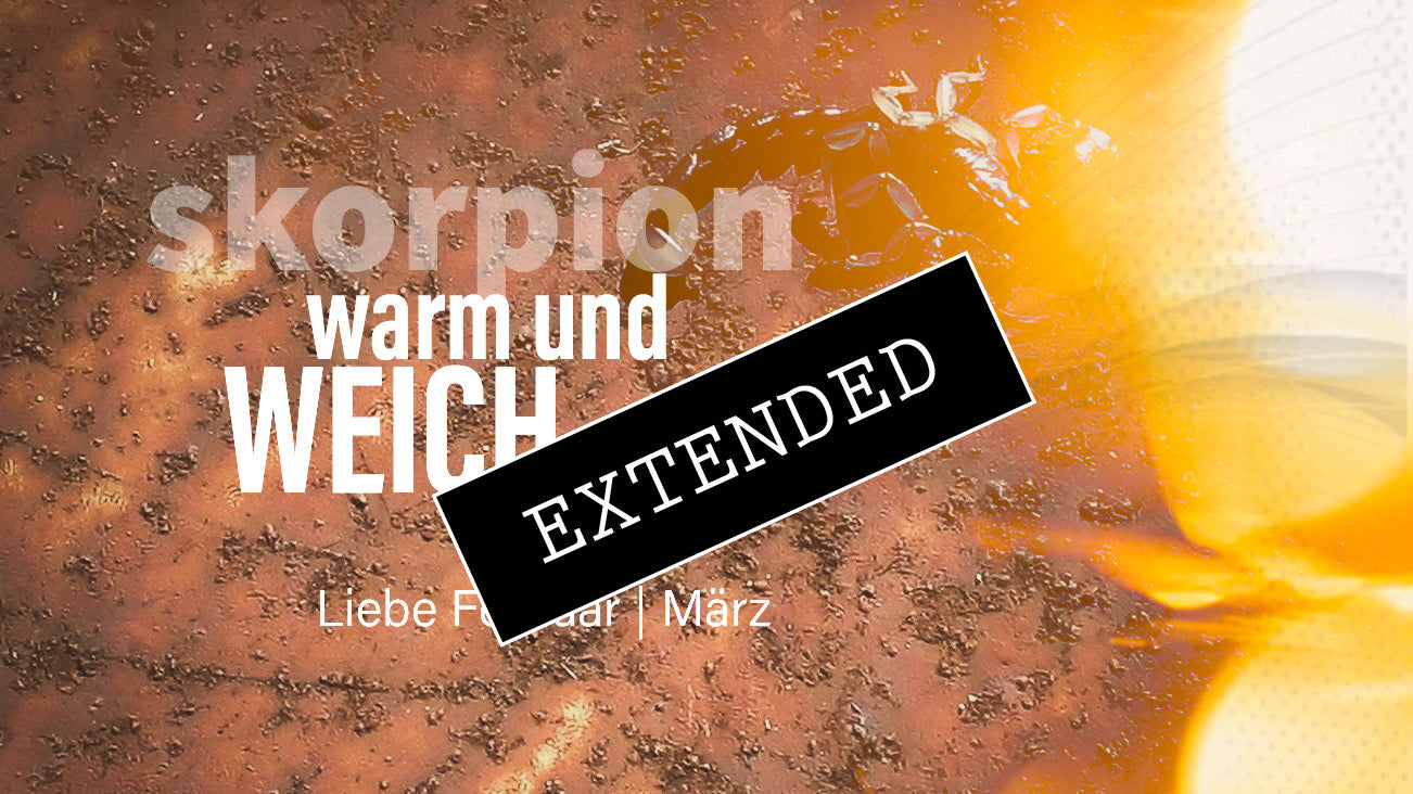 Skorpion Liebe Februar | März extended: Erkenntnisse durch Liebe❤️