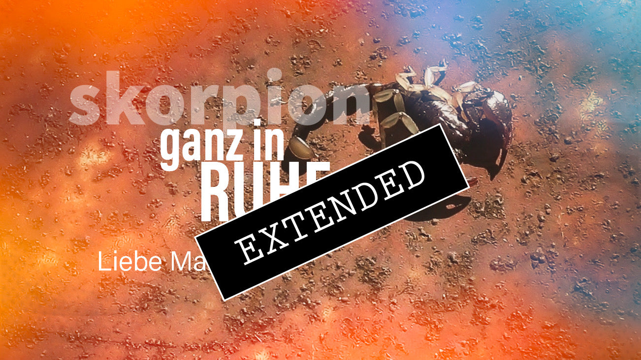 Skorpion Liebe Mai | Juni extended: Das große Fragezeichen❣️