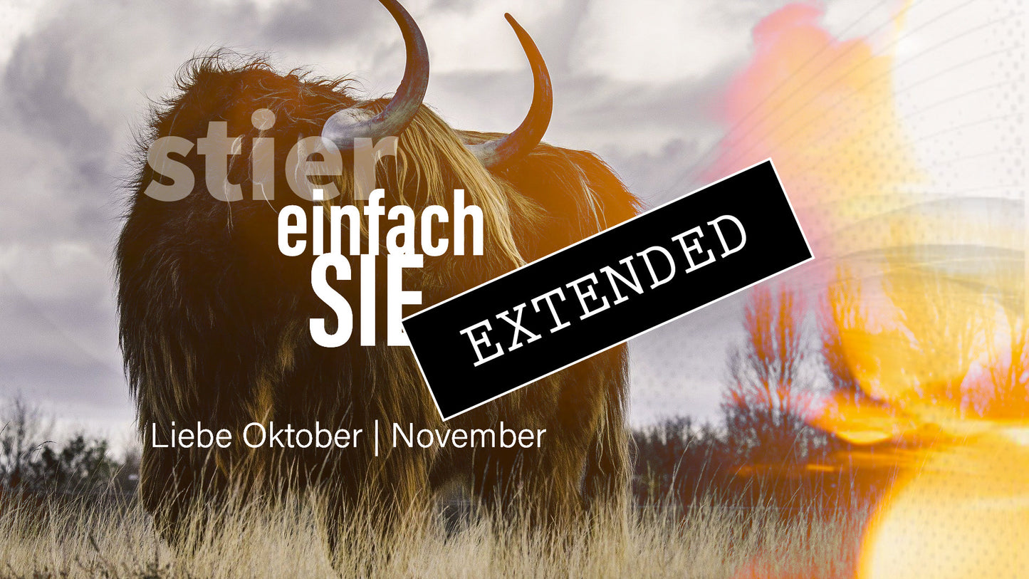 Stier Liebe Oktober | November extended: Neusortierung❣️💖