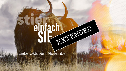 Stier Liebe Oktober | November extended: Neusortierung❣️💖