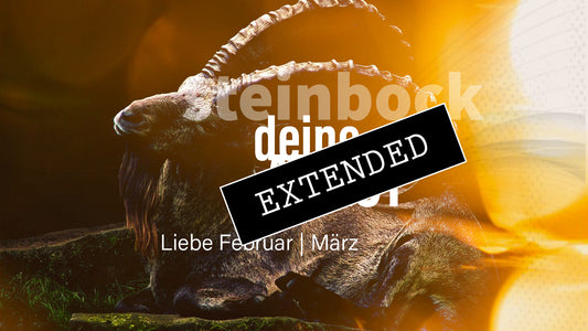 Steinbock Liebe Februar | März extended: Irritiert❣️