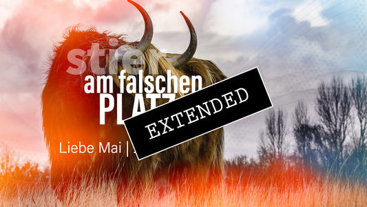 Stier Liebe Mai | Juni extended: Nicht glücklich💔