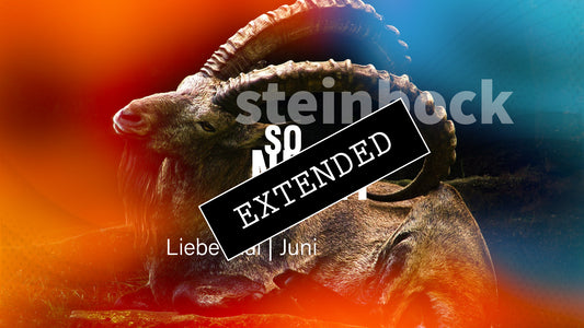 Steinbock Liebe Mai | Juni extended: So wohl nicht…❣️