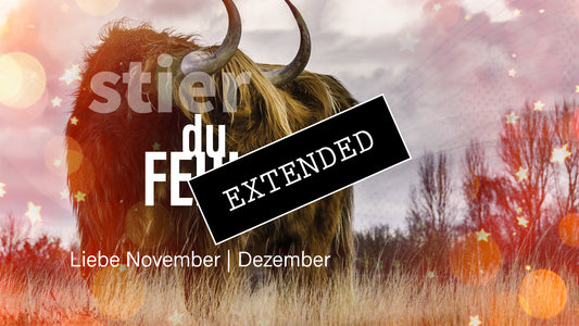 Stier Liebe November | Dezember extended: Ich💗❤️‍🔥